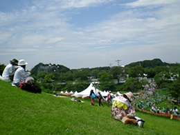 音楽フェス